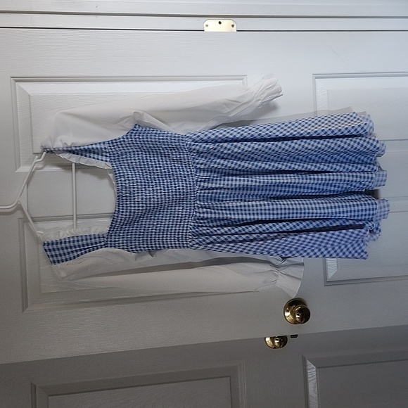 Elegant Blue Gingham Dress with White Blouse - Picture 5 of 5